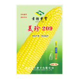 鲜食玉米种子|美珍209超甜水果玉米更高产量更易栽种