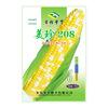 鲜食玉米种子|美珍208超甜水果玉米富含叶酸棒大高产